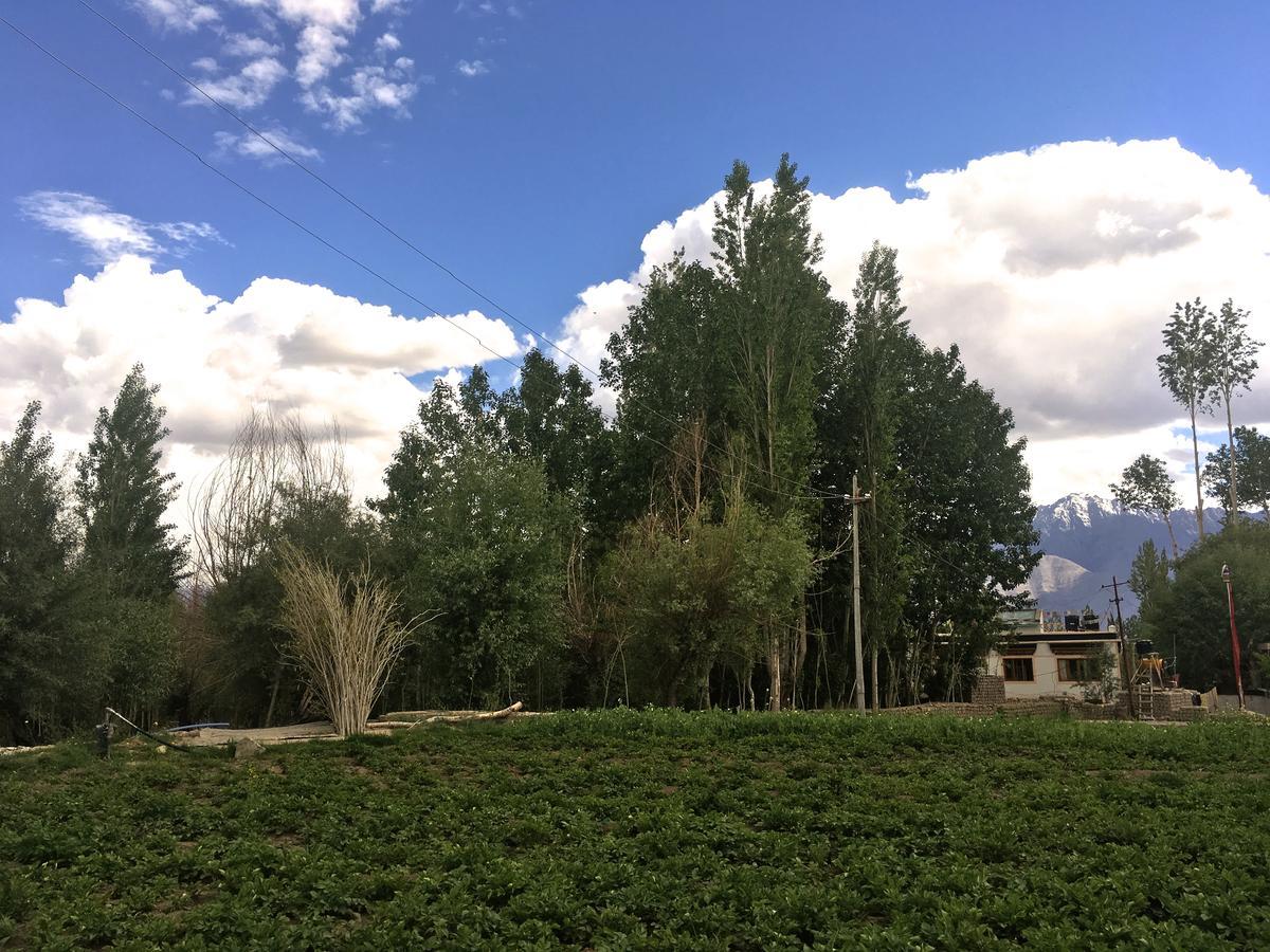 Raybo Hostel Leh Kültér fotó